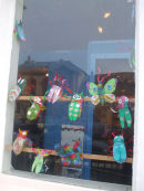 BUGS DISPLAYED IN lLANDUDNO MUSEUM WINDOW (on display now)